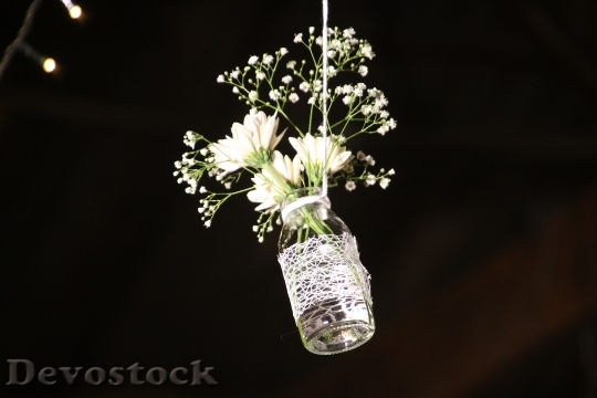 Devostock Flowers Glass Petals 96662 4K