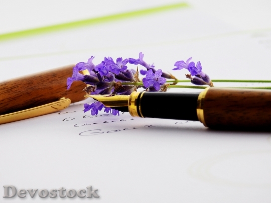 Devostock Flowers Pen Writing 16314 4K