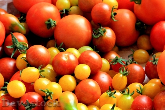 Devostock Food Vegetables Tomatoes 16230 4K
