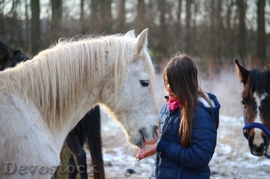 Devostock Friendship Snow Horse Girl Love