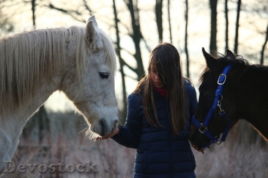 Devostock Friendship Two Horses Girl Love HQ