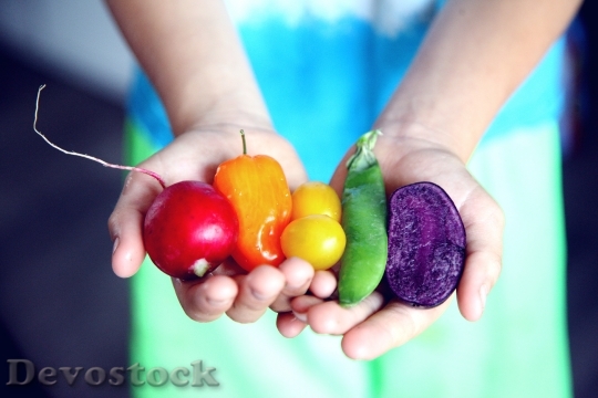 Devostock Healthy Vegetables Hands 4K