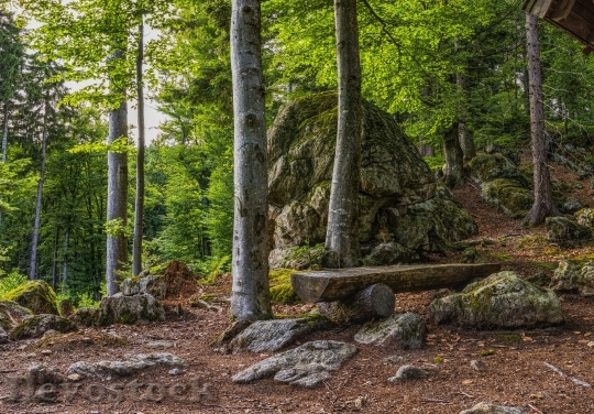 Devostock Bavarian Forest Bank Hiking Rest 9942 4K.jpeg