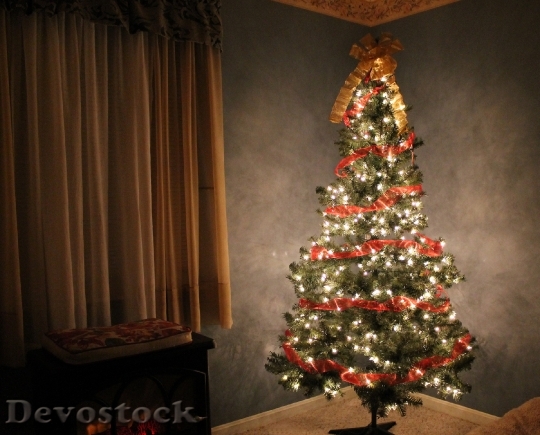 Devostock Christmas Christmas Tree Holiay 0 4K