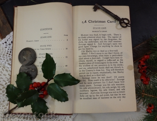 Devostock Christmas Holly AntiqueBook 4K