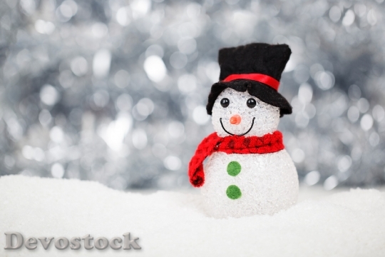 Devostock Christmas Snow Snowman Decortion 4K
