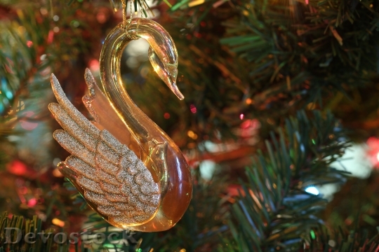 Devostock Christmas Swan Ornament 130309 4K
