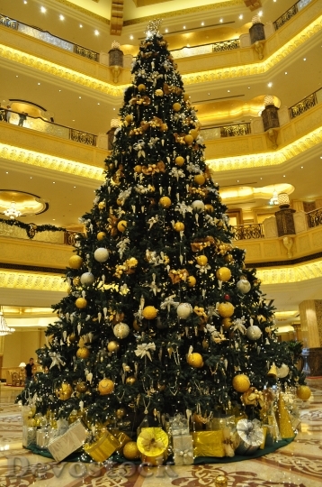 Devostock Christmas Tree Abu habi 4K