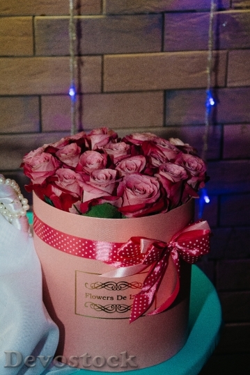 Devostock Flowers Gift Roses 133440 4K