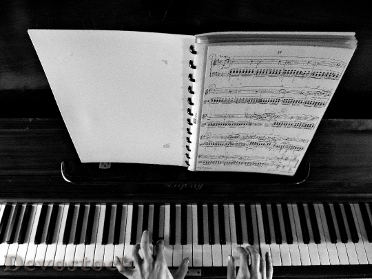 Devostock Note MUSIC Playing PIANO Hands