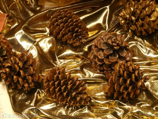 Devostock Pine Cones Decoration Chritmas 4K