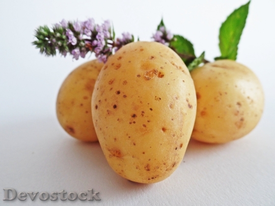 Devostock Potatoes Vegetables Field Eat 5157 4K.jpeg