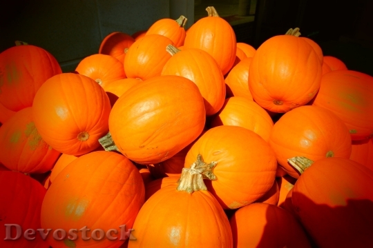 Devostock Pumpkins Fall Orange Autumn 660547 4K.jpeg