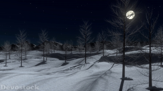 Devostock Snow Night MoonCold 4K