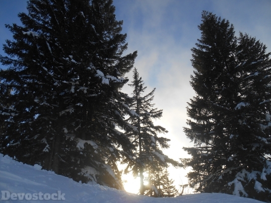 Devostock Snow Winter Sunset rees 4K