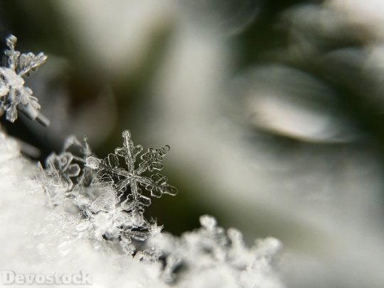 Devostock Snowflake Macro Frost Fozen 4K
