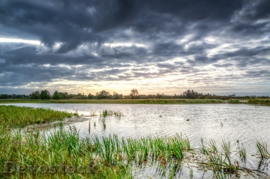 Devostock Swamp Morning Water Reflection 633888 4K.jpeg