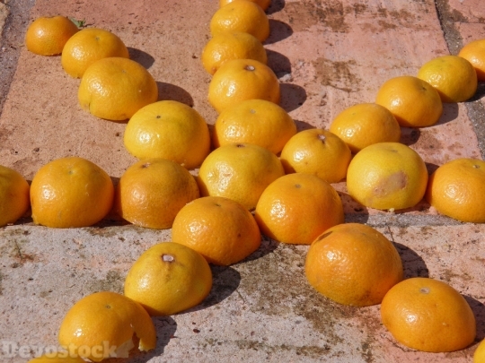 Devostock Tangerine Star Fruit Oange 4K
