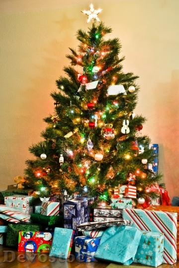 Devostock Tree Christmas ChristmasTree 4K