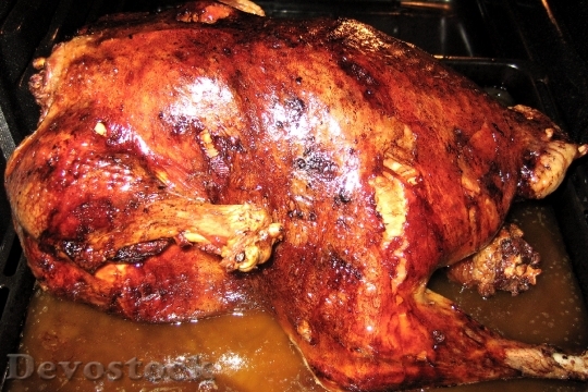 Devostock Turkey Christmas Dinner uicy 4K