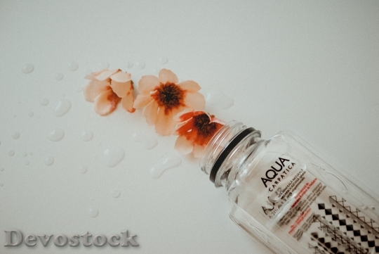 Devostock Water Flowers Glass 141004 4K