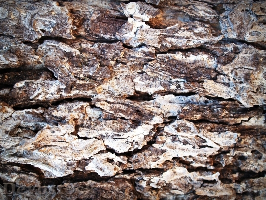 Devostock Wood Dry Texture 21645 4K