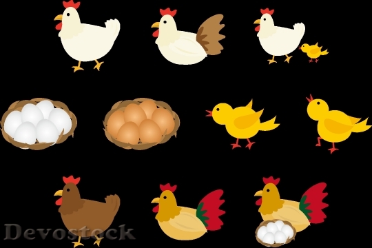Devostock Chicken Chick And Egg Set