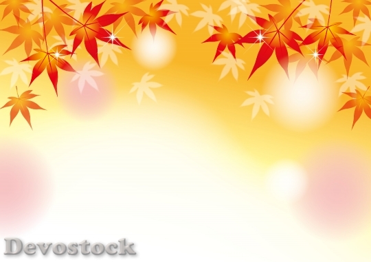 Devostock Fall Leaves Autumn Background