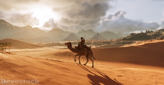 Devostock Camel Assassins Creed Origins 8k Yp 4K