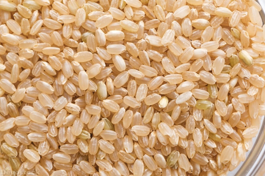 Devostock Food Cup Healthy Brown Rice Economy Sustainability 4k