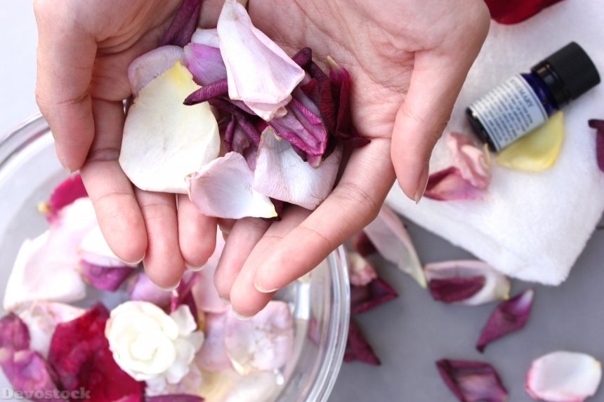 Devostock Gril Hands Roses Shower Healthy 4k