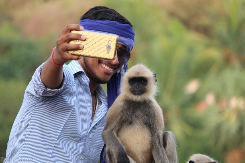 Devostock Man Taking Photos Selfe Monkey 4k
