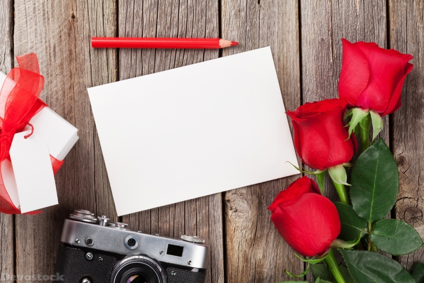 Devostock Valentines day roses, photo frame and camera