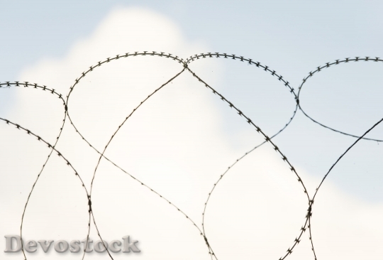 Devostock Barbed wire with heart shape 
