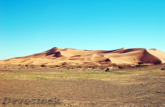 Devostock Desert beautiful image  (291)