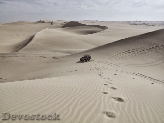 Devostock Desert beautiful image  (502)