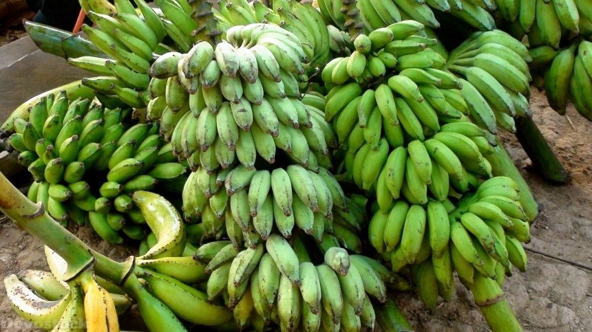 Devostock Bananas Fresh Fruit Healthy