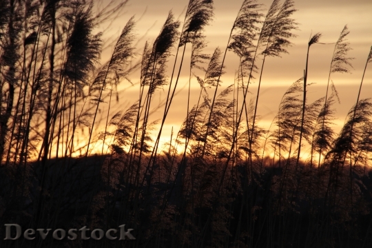 Devostock Nature Sunset Quiet Landscape