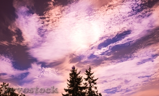 Devostock Purple Sky Sunset Nature