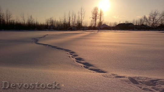 Devostock Snow Winter Tracks Nature