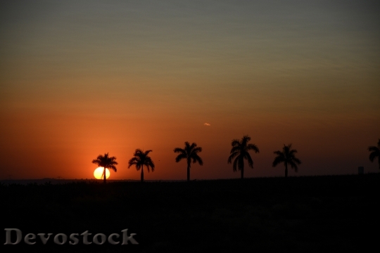 Devostock Sunset Silhouette Horizon Sol 3