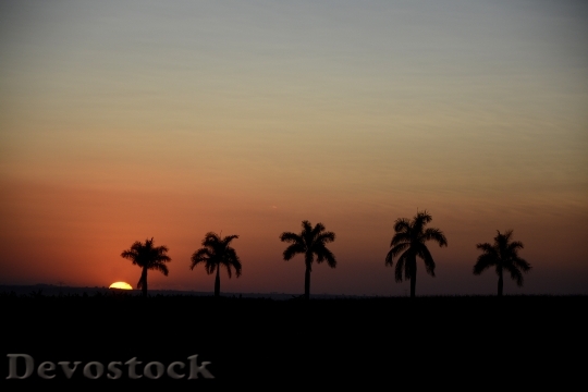 Devostock Sunset Silhouette Horizon Sol 5