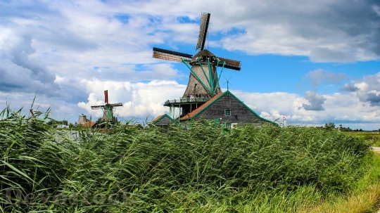 Devostock Dutch windmill beside houses in spring