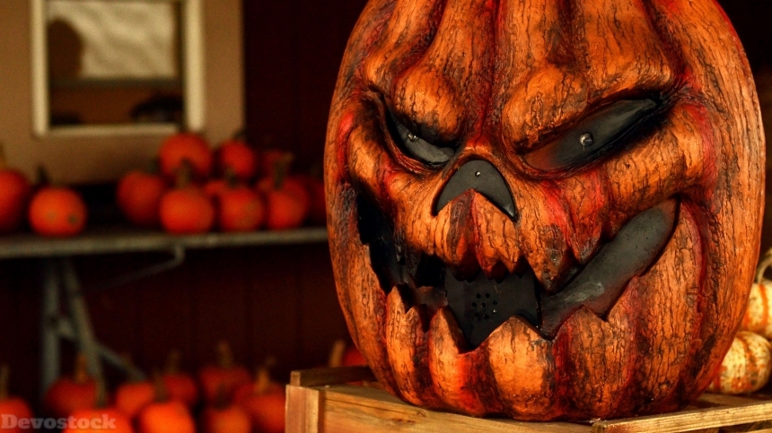 Devostock Halloween Celebration pumpkin stock images collection