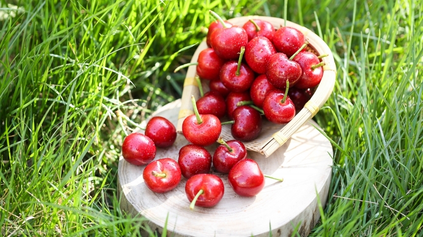 Devostock Nutritious fresh cherries  (11)
