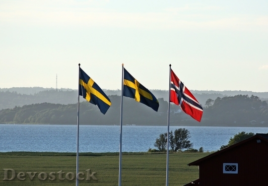 Devostock Sweden flag  (15)