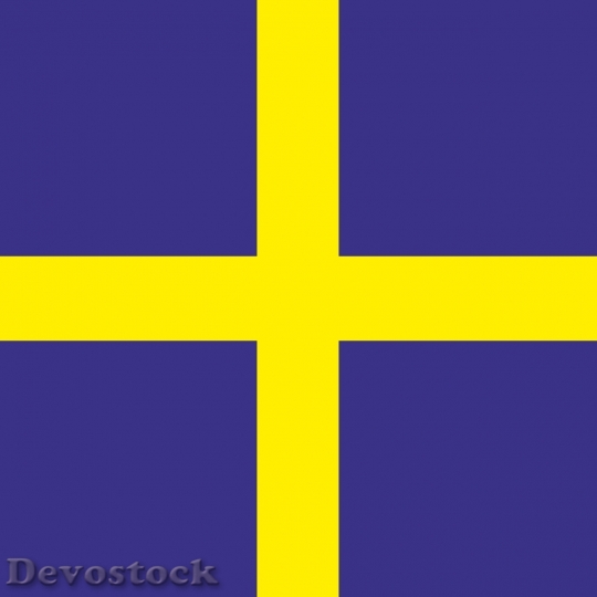 Devostock Sweden flag  (3)