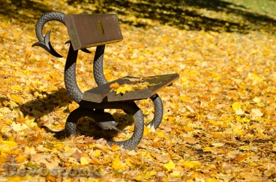 Devostock Autumn Bench Leaves Leaf