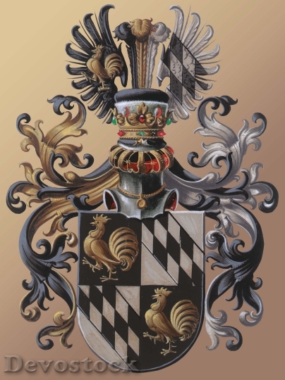 Devostock Coat Arms European Tradition 3
