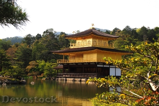 Devostock Gold Temple Kyoto Gold